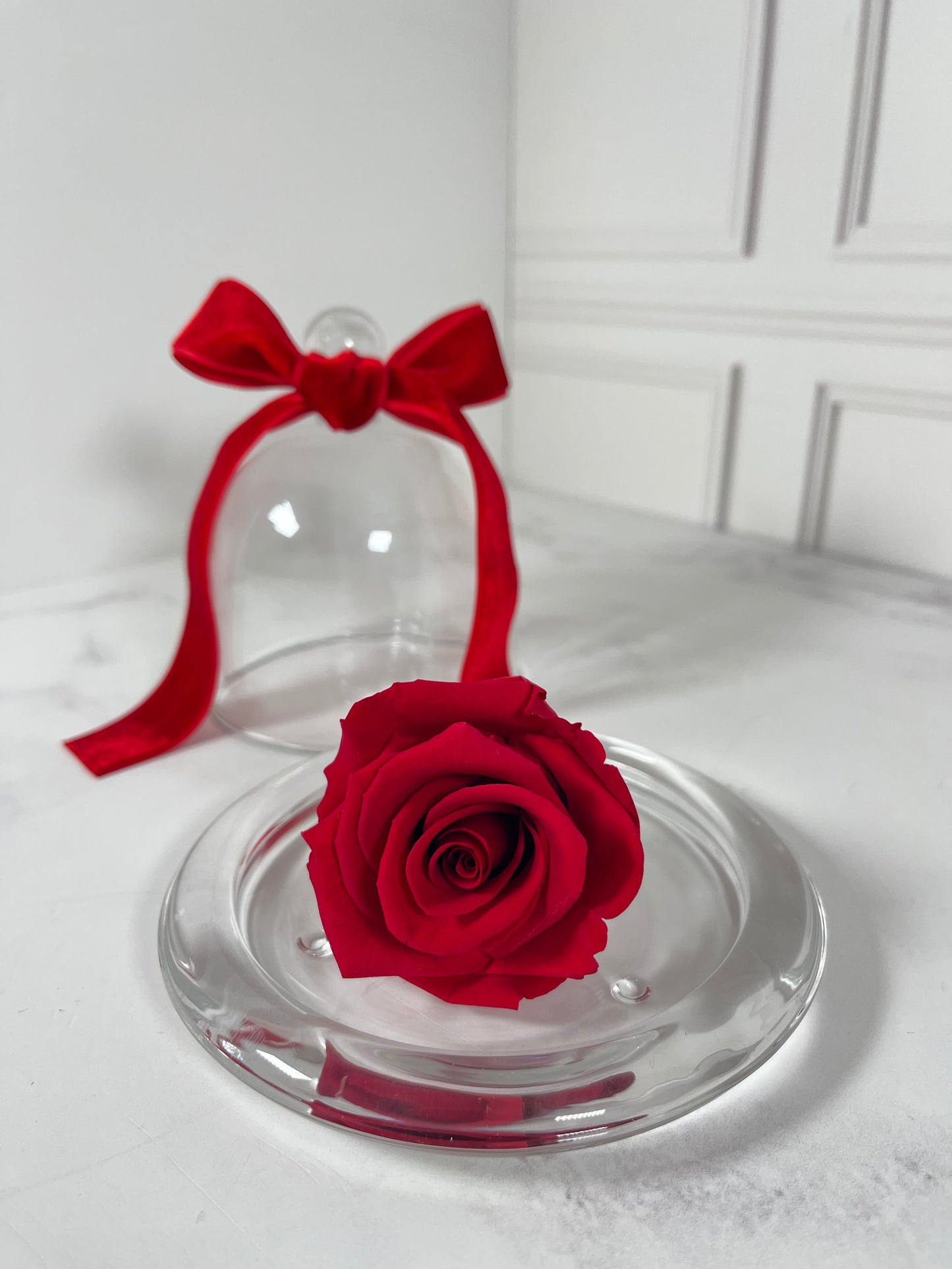 Rosa eterna