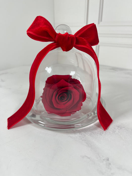 Rosa eterna